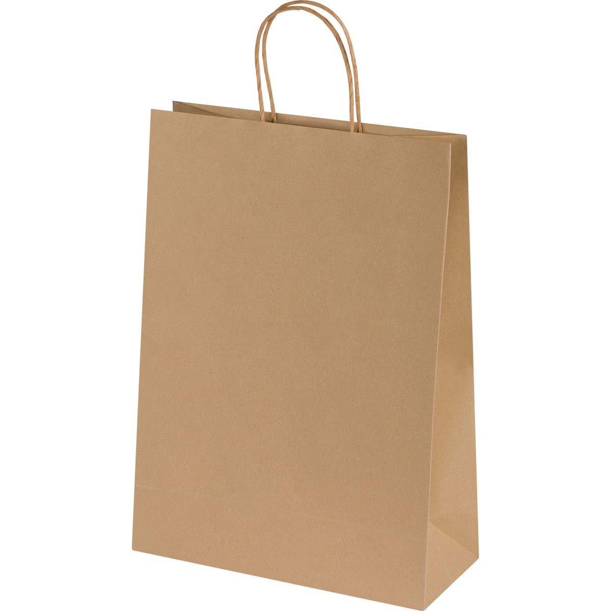 Ashdown Medium Paper Gift Bag