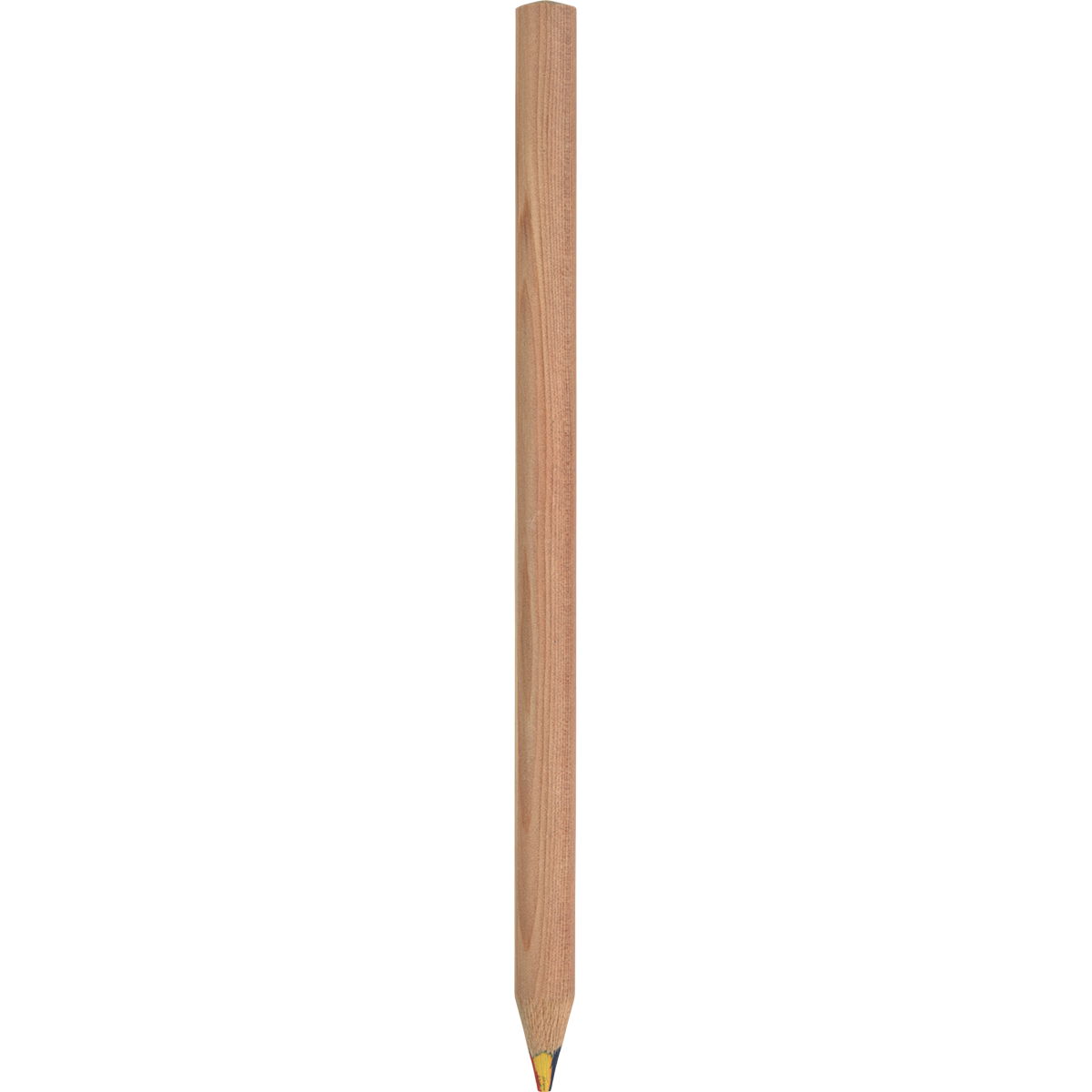 Quartet Wooden Colouring Pencil